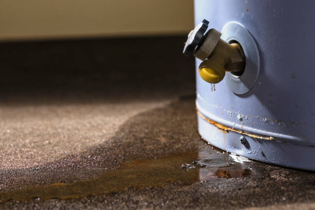  Cheat Lake, WV Water damage restoration Pros