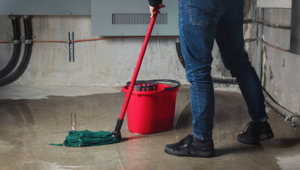 Best Flood damage cleanup  in Cheat Lake, WV