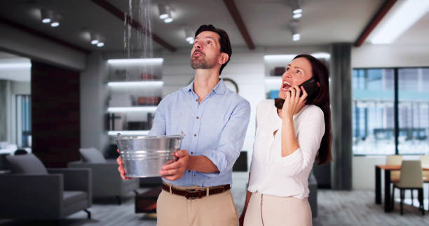 Best Water damage cleanup near me  in Cheat Lake, WV