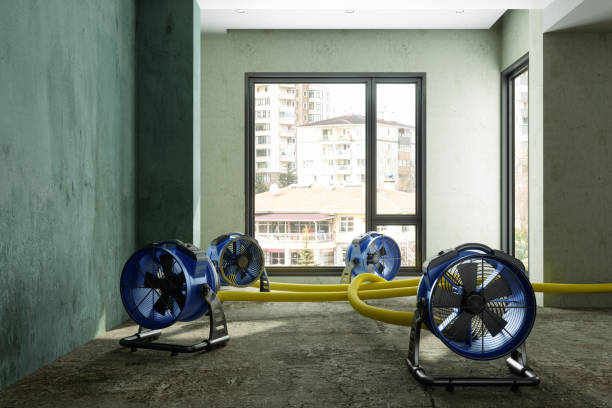 Best Water damage contractors near me  in Cheat Lake, WV